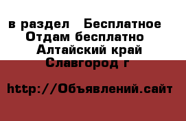  в раздел : Бесплатное » Отдам бесплатно . Алтайский край,Славгород г.